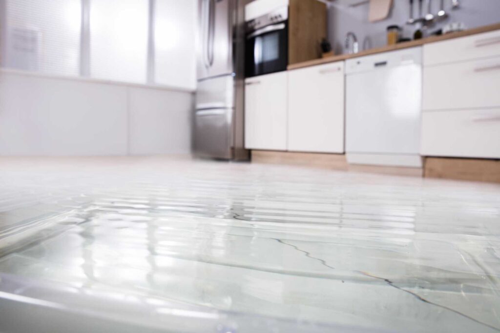 Expert Tips for Rapid Flood Damage Recovery