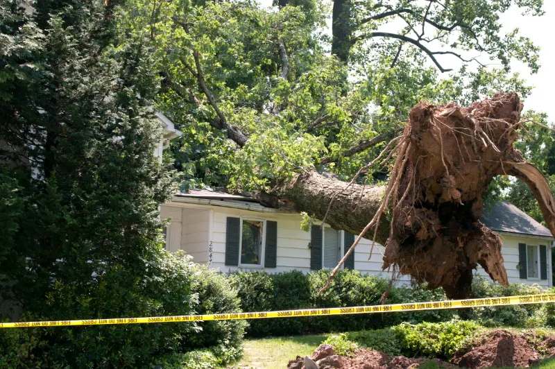 Storm Damage Help