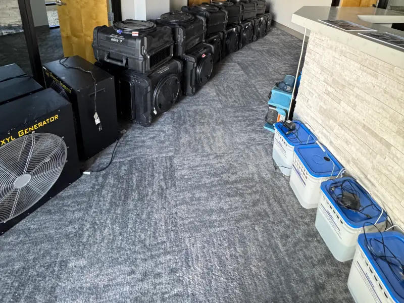 experienced water damage experts
