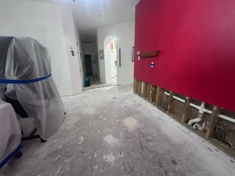 experienced water damage experts