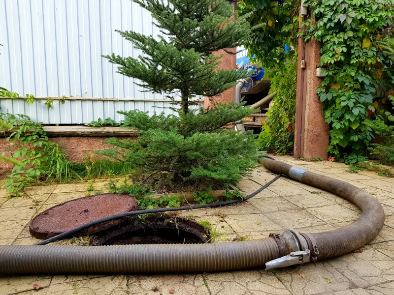 sewage cleanup services