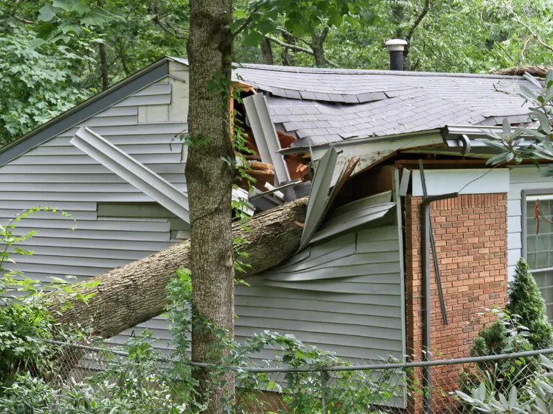 storm damage restoration