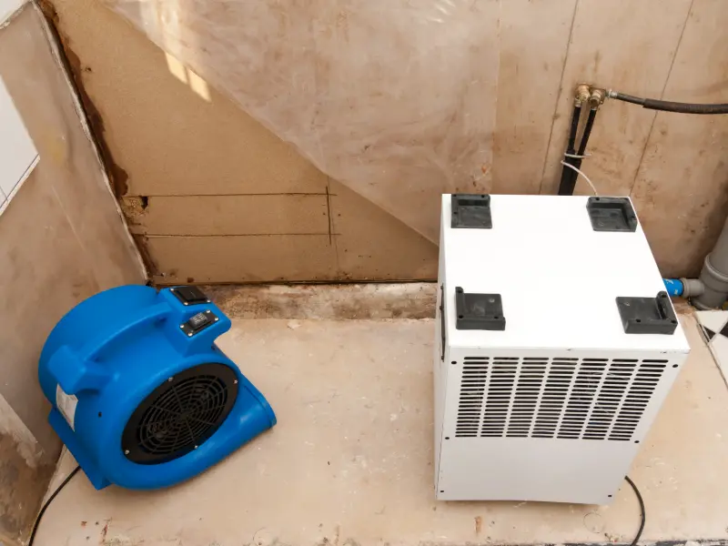 emergency water removal services